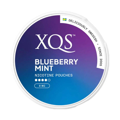 XQS Blueberry Mint Nicotine Pouches